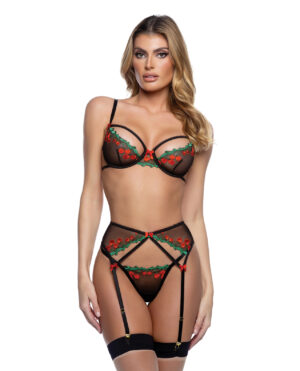 Cherry Delight Embroidered Lace and Mesh Underwire Bra w/Garter & G-String 3 pc Set - Black SM