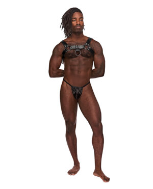 Leather Aries Single Ring Harness Black O/S